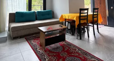 Balıkesir Avşa Plajı Müstakil Günlük Kiralık Ev