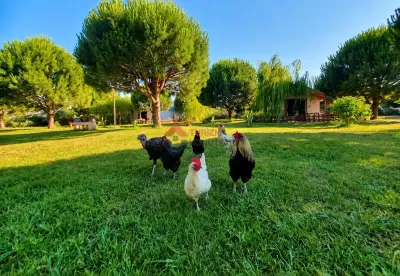 Balıkesir Ayvalık - Kumsala 290 Metre - Yazlık Günlük Kiralık Bungalov