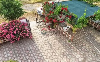 Balıkesir Erdek - Bahçeli - Klimalı - Günlük Kiralık Müstakil Daire