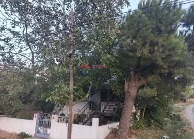Balıkesir Erdek - Plaja Yakın - Doğa İçinde - Temiz Havalı - Günlük Kiralık Daire