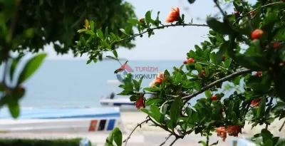 Balıkesir Marmara - Denize Sıfır - 1+1 Günlük Kiralık Daire