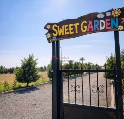 İzmir Dikili - Doğayla İç İçe - Havuzlu - Lüks Günlük Kiralık Villa