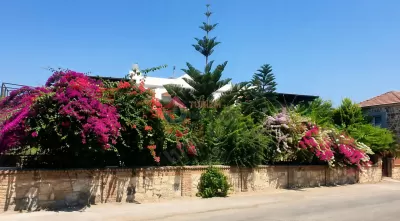 Muğla Bodrum Bahçeli Günlük Kiralık Daire