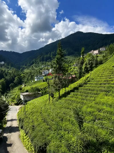 Rize Dua Tepesi Apart